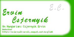 ervin csjernyik business card